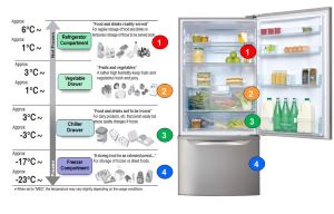 Nhiệt độ bảo quản thực phẩm lý tưởng trong tủ lạnh