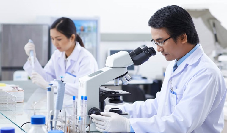 Hướng Dẫn Chọn Mua Kính Hiển Vi Phản Pha Chính Hãng