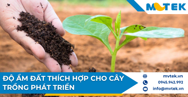 Độ Ẩm Đất Thích Hợp Cho Cây Trồng Phát Triển Tốt