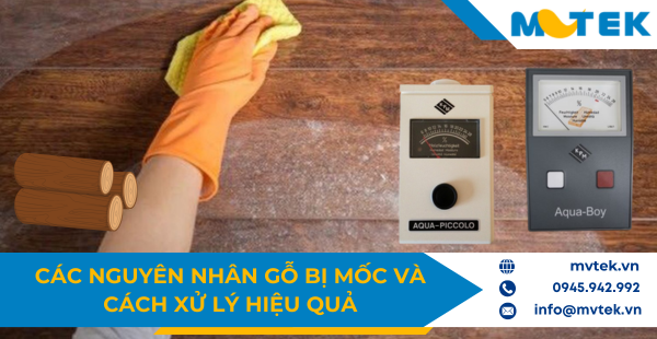 Nguyên nhân gỗ bị mốc và cách xử lý hiệu quả