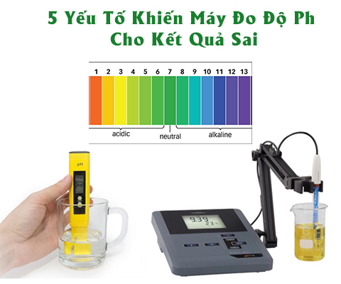 5 sai lầm khi dùng bút đo pH khiến kết quả sai