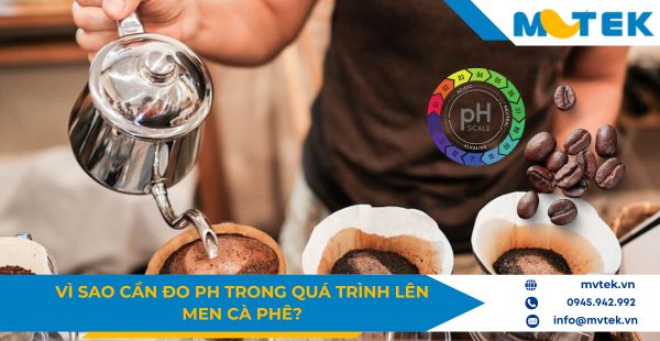 Vì sao cần đo pH trong quá trình lên men cà phê?