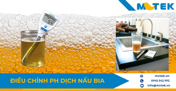 Điều chỉnh pH trong nấu bia: Bí quyết nâng cao chất lượng