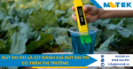 Bút đo pH là gì? Đánh giá bút đo pH có trên thị trường